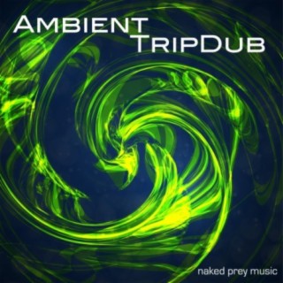 Ambient TripDub