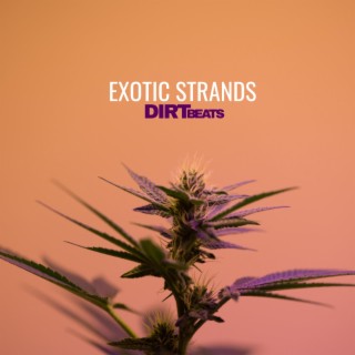 Exotic Strands
