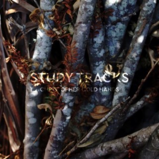 Study Tracks