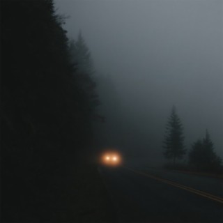 Foggy Road