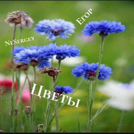 Цветы ft. NeSergey