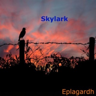 Skylark