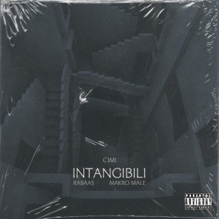 Intangibili