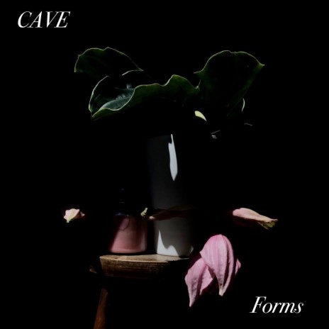 Forms | Boomplay Music