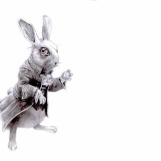 White Rabbit Control