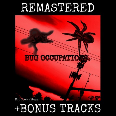 Bug Occupations Intro