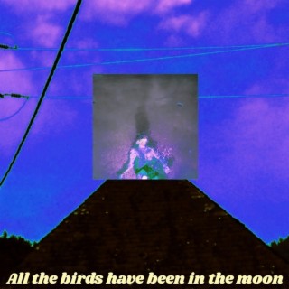 All the Birds Have Been in The Moon