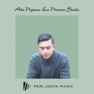 Peri Jonta Pinem