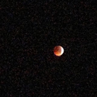 Blood Moon