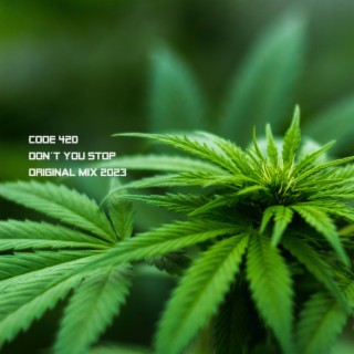 CODE 420 don't you stop (ORIGINAL MIX)