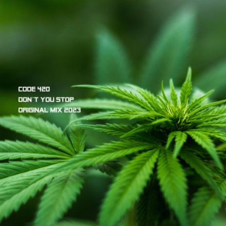 CODE 420 don't you stop (ORIGINAL MIX) | Boomplay Music
