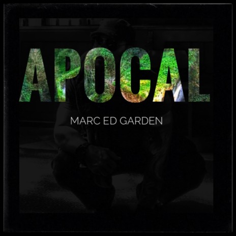 Apocal | Boomplay Music