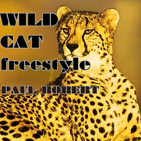 Wild Cat freestyle | Boomplay Music