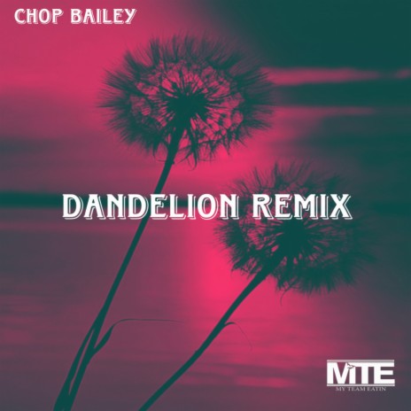 Dandelions (Remix) | Boomplay Music