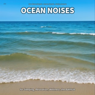 ** Ocean Noises for Sleeping, Relaxation, Wellness, the Bathtub