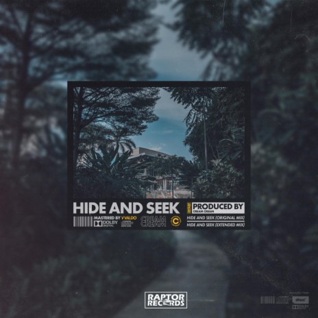 Hide And Seek (Extended Mix)