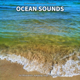 ** Ocean Sounds for Relaxation, Napping, Yoga, Cats & Dogs