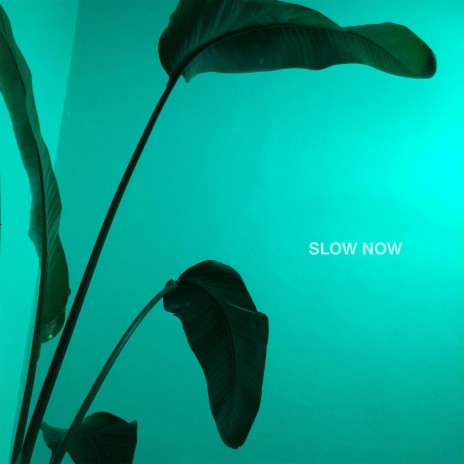 Slow Now | Boomplay Music