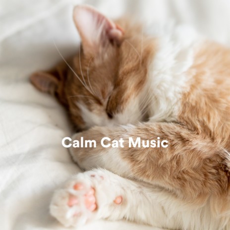 Relaxing Cloud ft. Cat Music & Calm Music for Cats | Boomplay Music