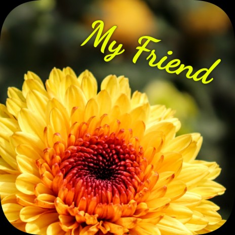 My Friend | Boomplay Music