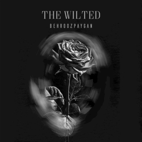 The Wilted | Boomplay Music