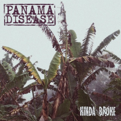 Panama Disease | Boomplay Music