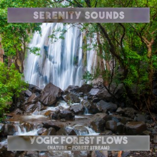 Yogic Forest Flows (Nature – Forest Stream)