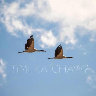 Timi ka chaw?