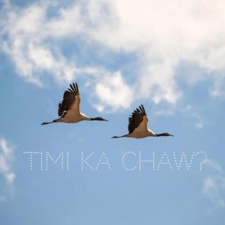 Timi ka chaw? | Boomplay Music