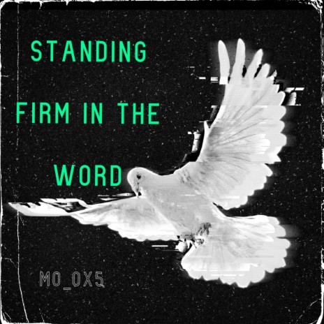 Standing firm in the word | Boomplay Music