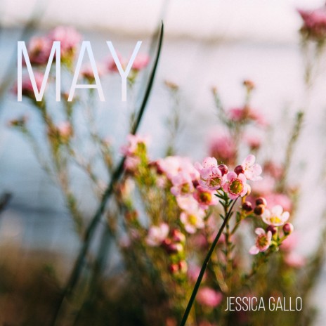 May | Boomplay Music