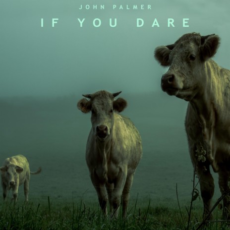 If You Dare