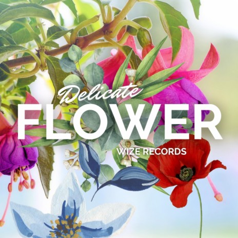 Delicate Flower | Boomplay Music