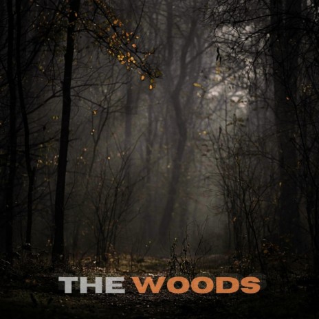 The Woods | Boomplay Music