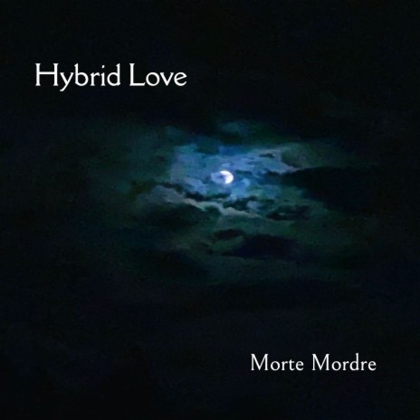 Hybrid Love | Boomplay Music