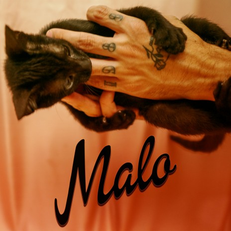 Malo | Boomplay Music