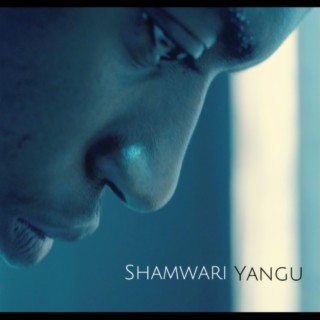 Shamwari Yangu lyrics | Boomplay Music