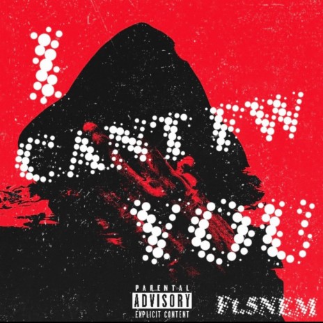 I CANT FW YOU ft. 5NEM