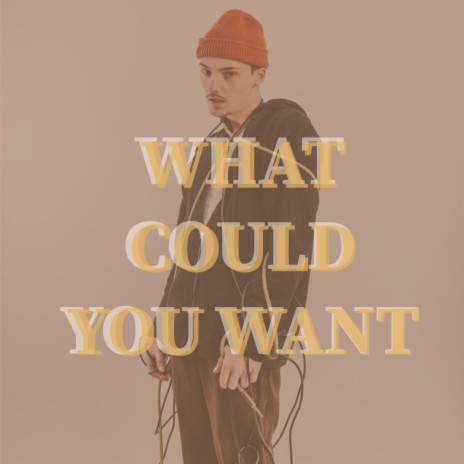 What Could You Want | Boomplay Music