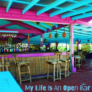 My Life Is An Open Bar lyrics | Boomplay Music