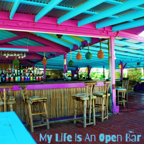My Life Is An Open Bar
