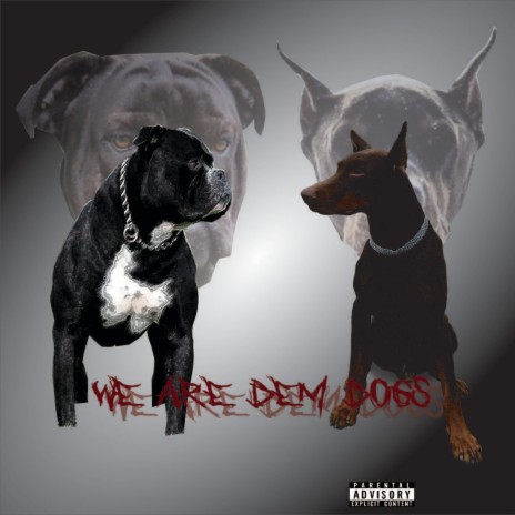 We Are Dem Dogs | Boomplay Music