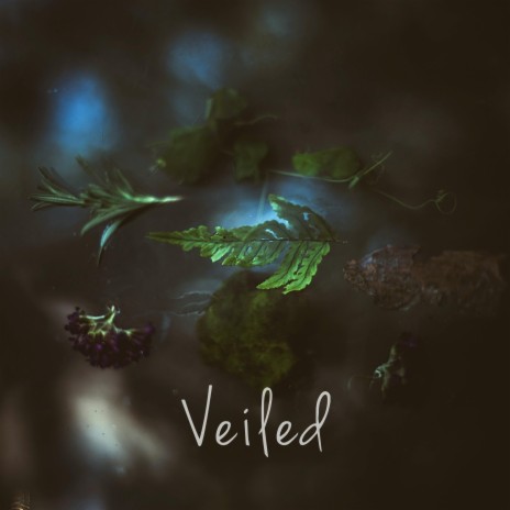 Veiled | Boomplay Music