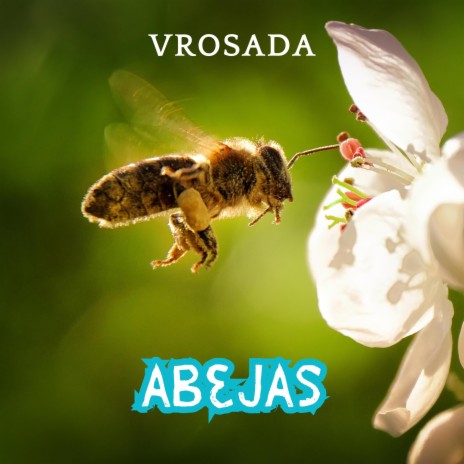 abejas | Boomplay Music