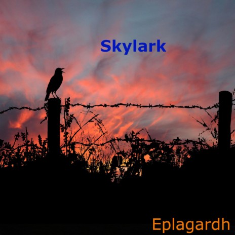 Skylark | Boomplay Music