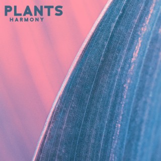 Plants Harmony: Violin Music for Plants with Sea Sounds for The Best Stimulation for Plant Growth & Happiness