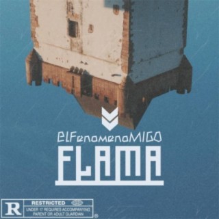 FLAMA