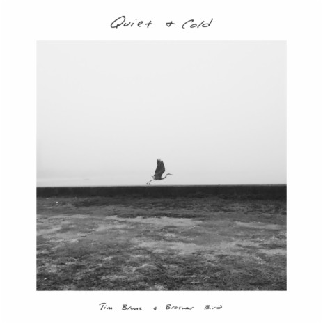 Quiet & Cold (feat. Brother Bird) | Boomplay Music