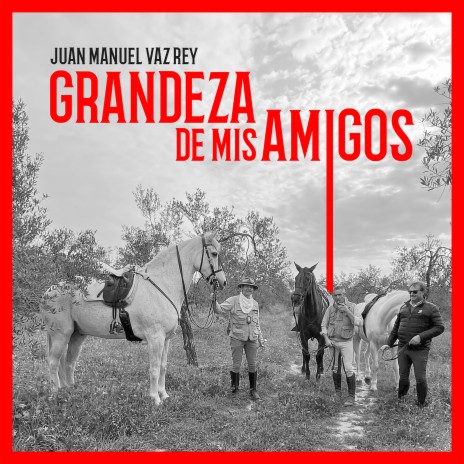 Grandeza de mis amigos | Boomplay Music