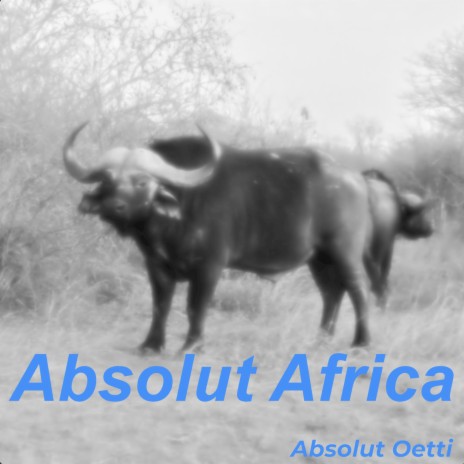 Absolut Africa (Mix) ft. Afrikan Heritage Ensemble | Boomplay Music